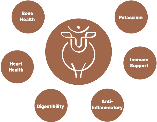 Why the gir cow