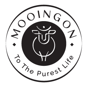 Mooing On